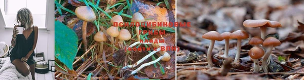 первитин Приозерск