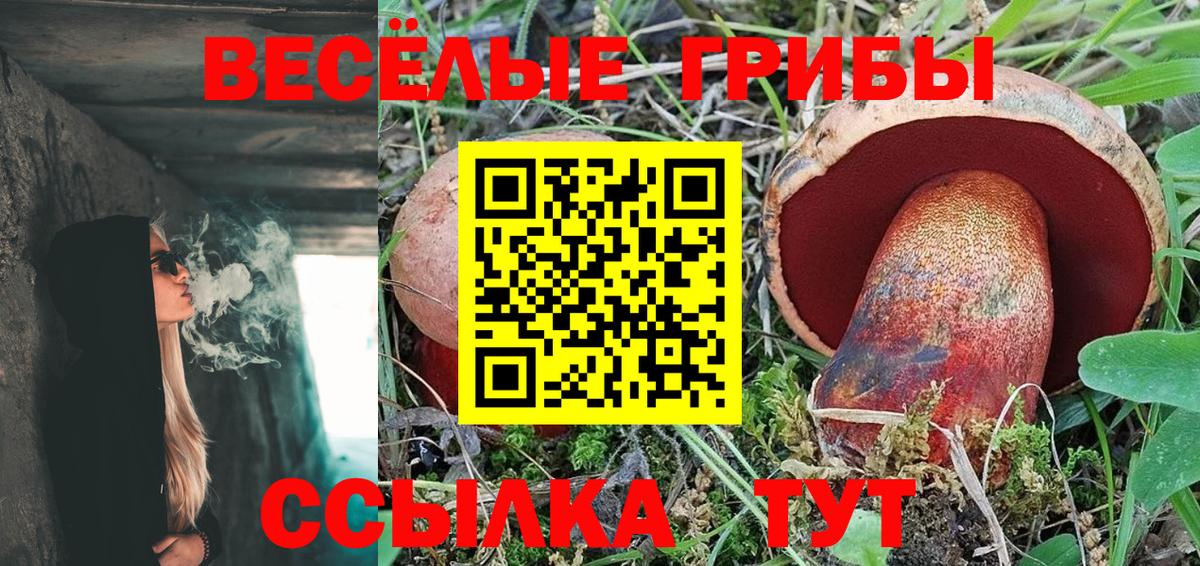 Славянск-на-Кубани  Галлюциногенные грибы Magic Shrooms  Вход с VPN 