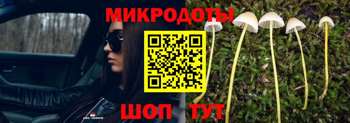 Галлюциногенные грибы Psilocybe  Славянск-на-Кубани  Галлюциногенные грибы прущие грибы 